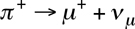 unstable lepton muon