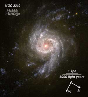 NGC 3310 - Starburst Galaxy