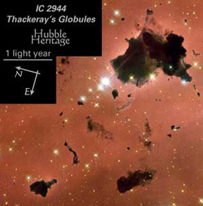IC 2944 - Thackeray's Globules