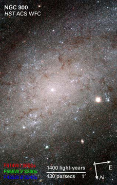 NGC 300 - Spiral Galaxy