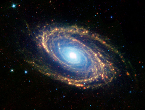 M81 from the Spitzer Space Telescope