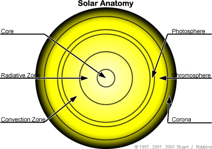 Sun's Anatomy